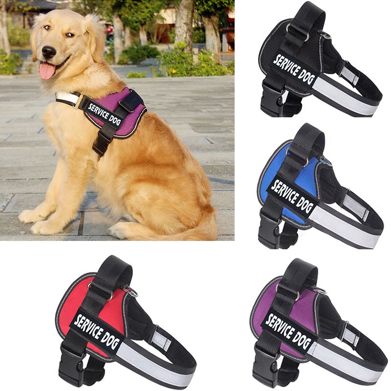 personalized dog harness