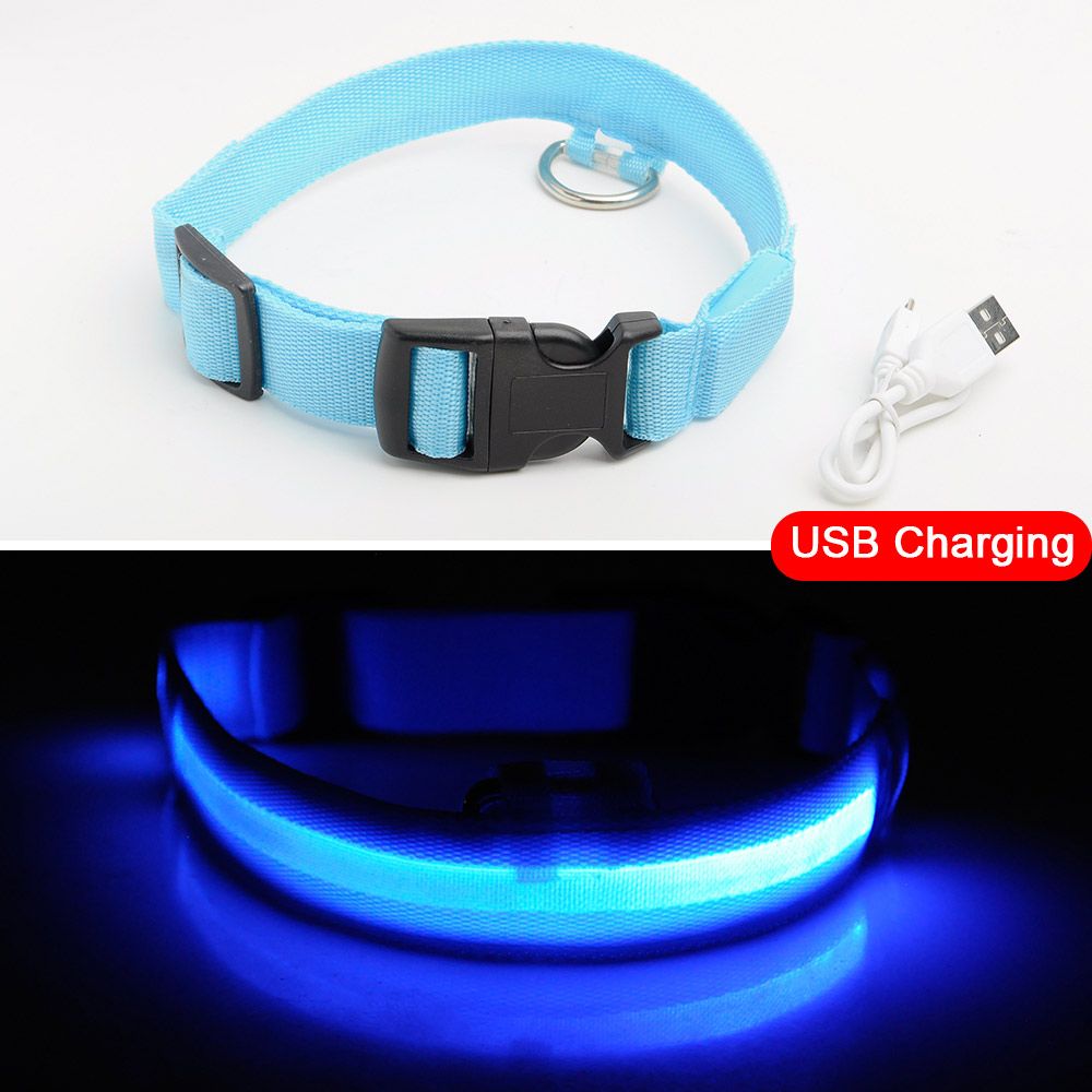 Charge USB bleue