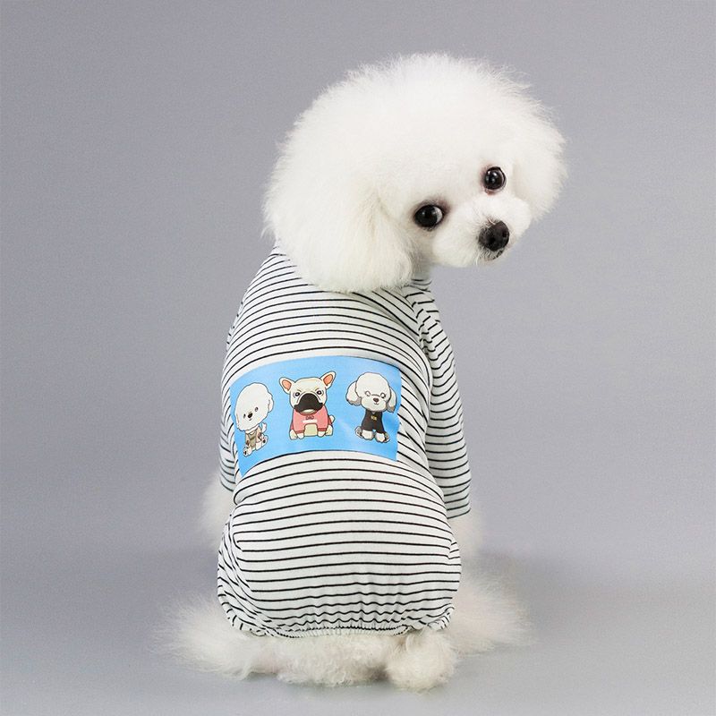 What Is The Cheapest Small Dog