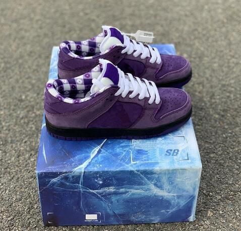 purple lobster box