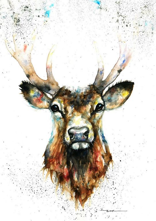 2020 Stag By Artist Be Coventry Wildlife Animal Art High Quality