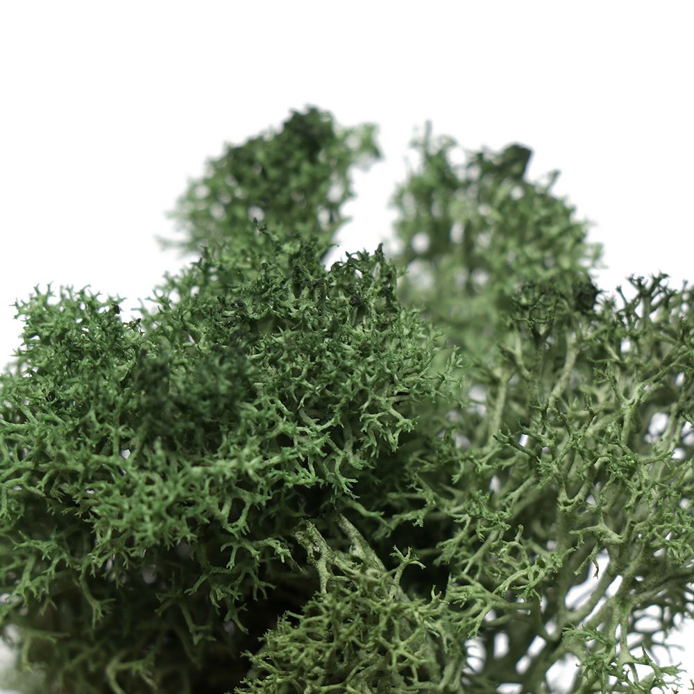 2020 1bag Artificial Fake Dried Reindeer Moss For Flowers Grass