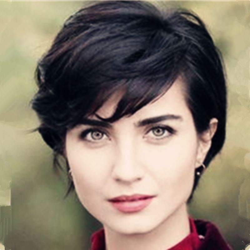 Cheap Human Hair Lace Wigs Human Hair Straight Pixie Cut Natural