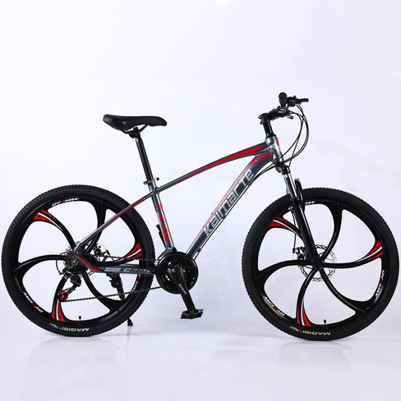 felt 24 inch mountain bike