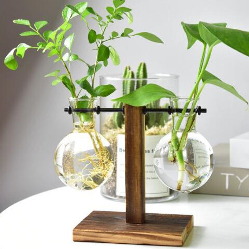 Hydroponic Plant Vases Flower Pot Transparent Vase Wooden Frame Tabletop Planter 