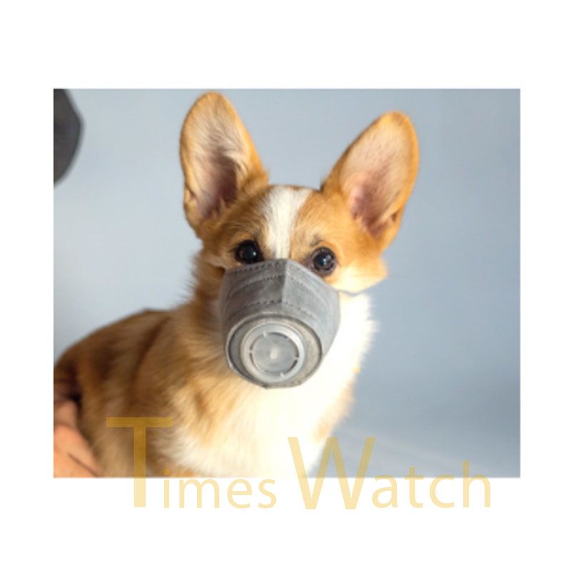 box muzzle for dogs