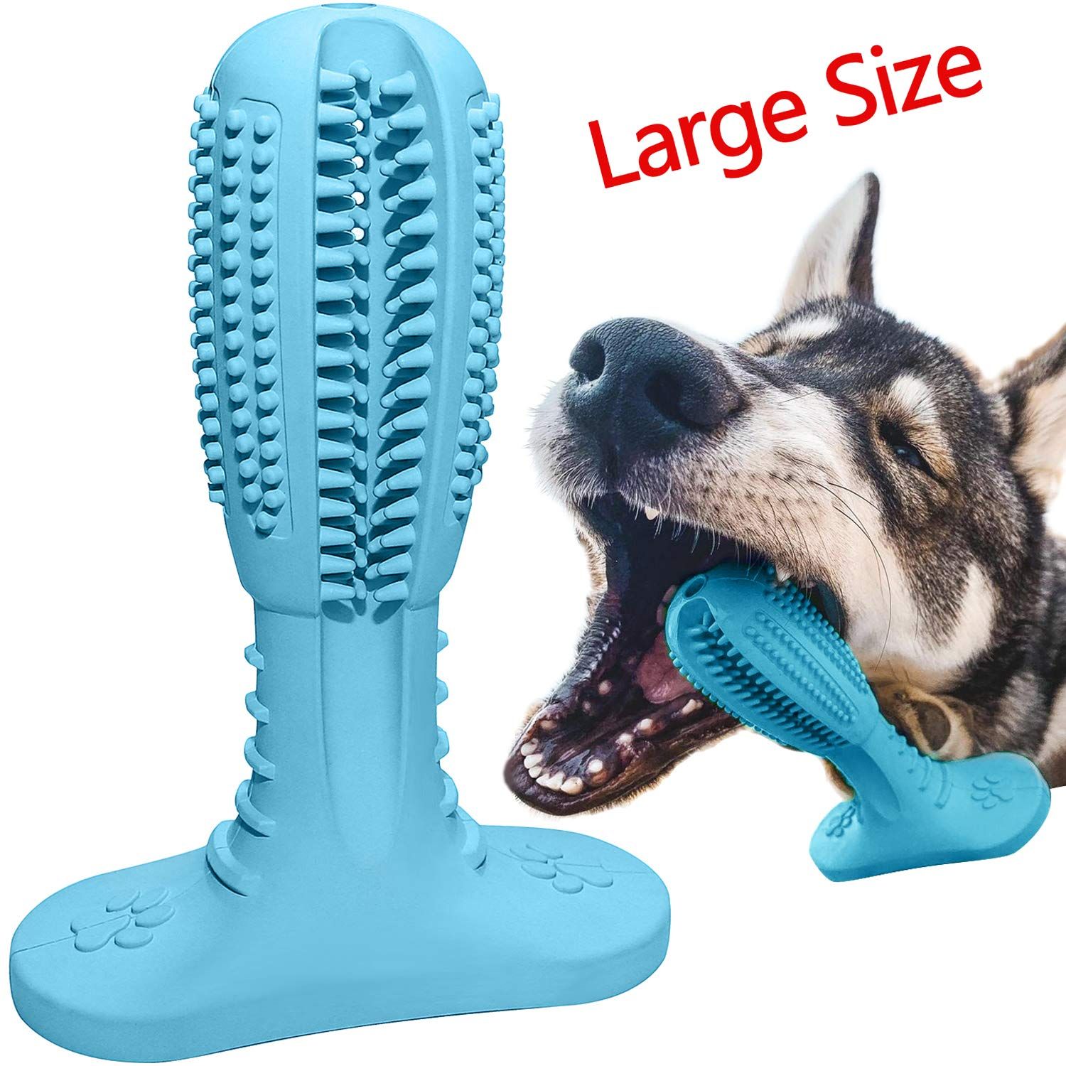 new dog toothbrush toy