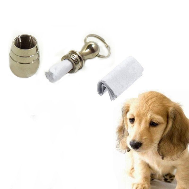 Creative Mini Pet Cat Dog Id Dogs Cats Anti Lost Metal Name Address Label Pet Identity Empty Tube Collar Pet Products From Simonxiong123 1 11 Dhgate Com Creative Mini Pet Cat Dog Id Dogs Cats Anti Lost Metal Name Address Label Pet Identity Empty Tube Collar Pet Products From Simonxiong123 1 11 Dhgate Com