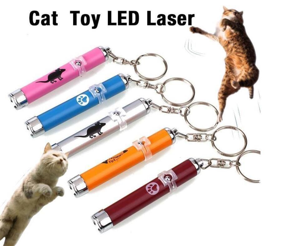 2-in-1 Cat Pet Toy Red Laser Light Led Pointer Pen White Flashlight Torch  Interactive Training Laser Pointer Pen For Cat Dog 4mw Laser Pens  AliExpress | Pet Cat Laser Toys In Led