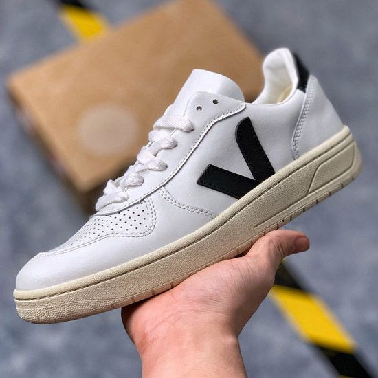 gator sneakers