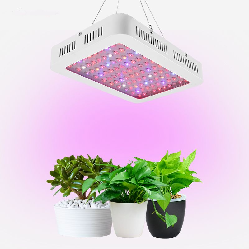 2019 Led Grow Light With Hanging Wire 1000w Plant Grow Tube Lamp Led Grow Light Clip Led Lights For Growing Plants Full Spectrum Grow Lights From
