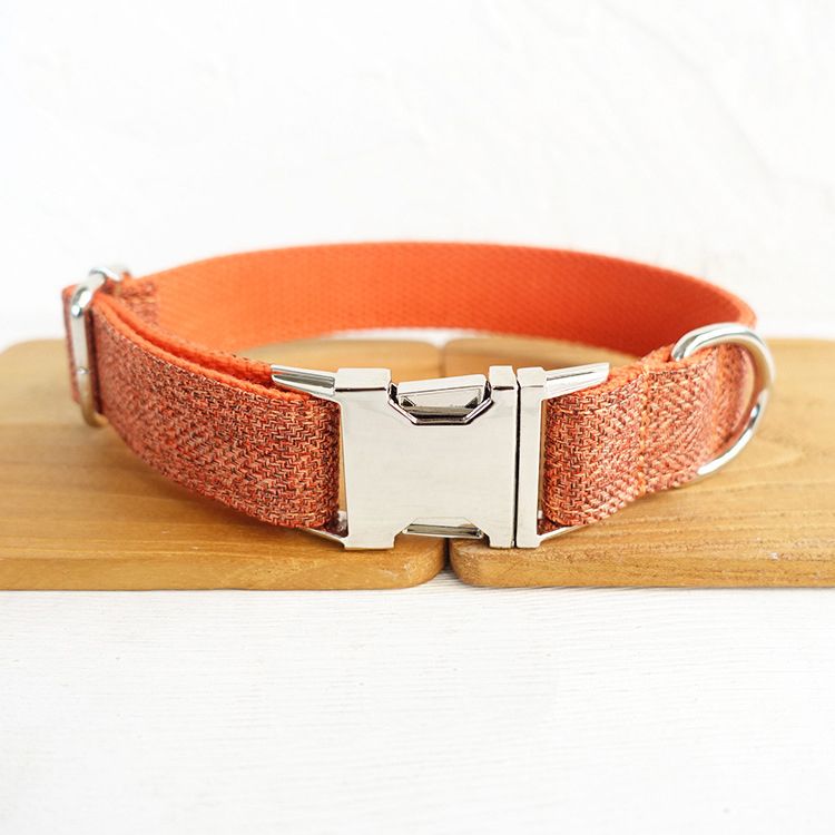 Orange-Collar