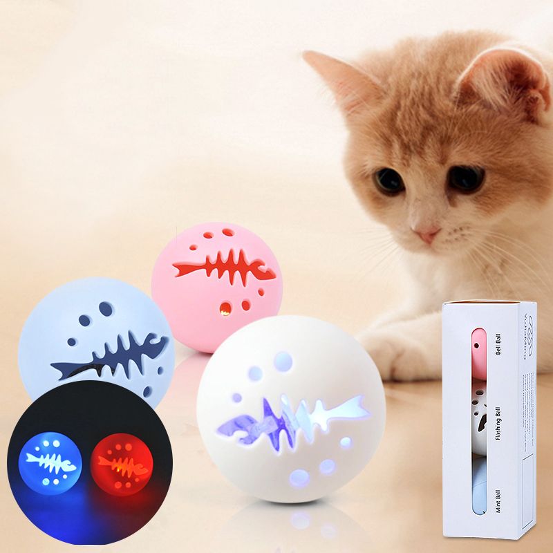 gato interactivo