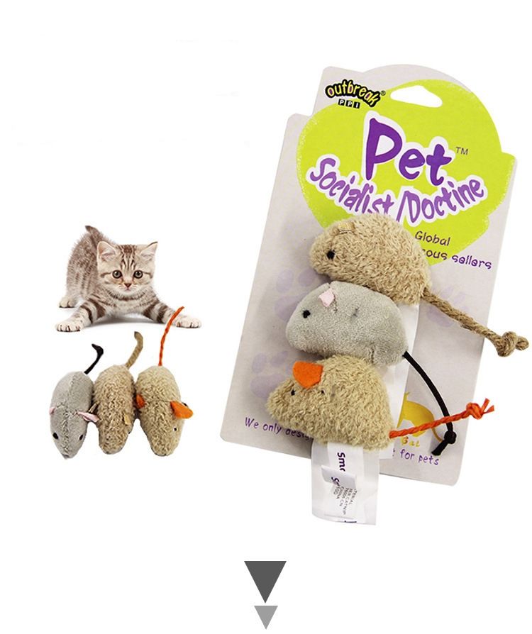 Satin Al 2020 Yeni Pelus Simulasyon Kucuk Fare Kedi Oyuncagi 3 Kart Satis Kucuk Fare Kedi Dayanikli Bite Dayanikli Cal Interaktif Oyuncak Kaziyin Tl88 91 Tr Dhgate Com
