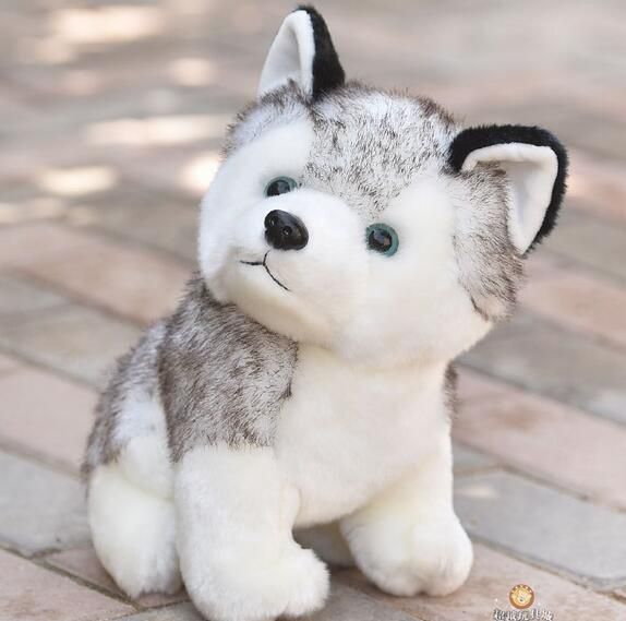 husky puppy stuffed toy