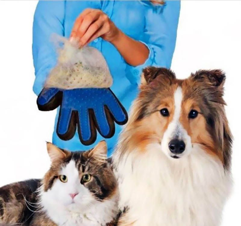 pet hair removal mitt