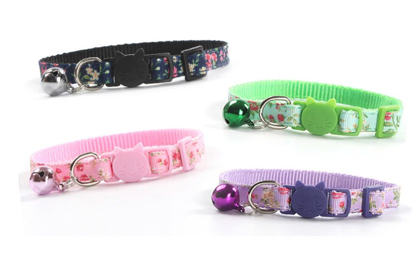 cheap kitten collars