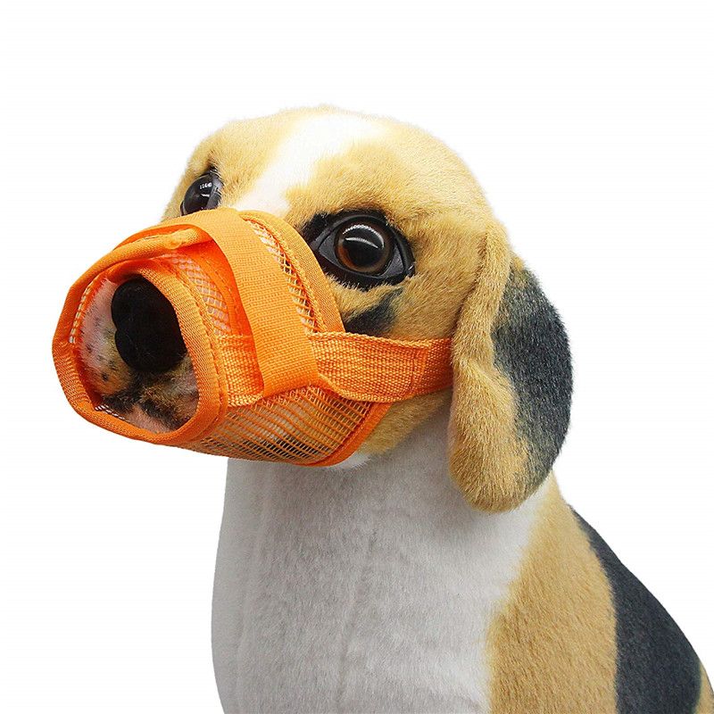 dog muzzle for chewing
