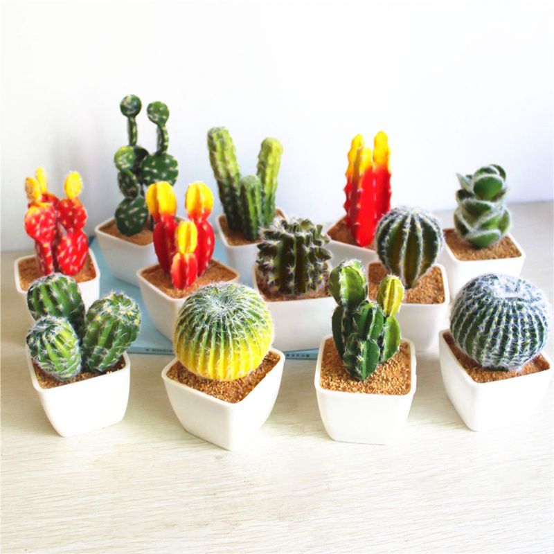 2020 2019 New Artificial Succulent Plant Cactus Mini Potted Plants Writing Desk Decoration Fake Plastic Plant For Home Decor From Blithenice 28 02 Dhgate Com