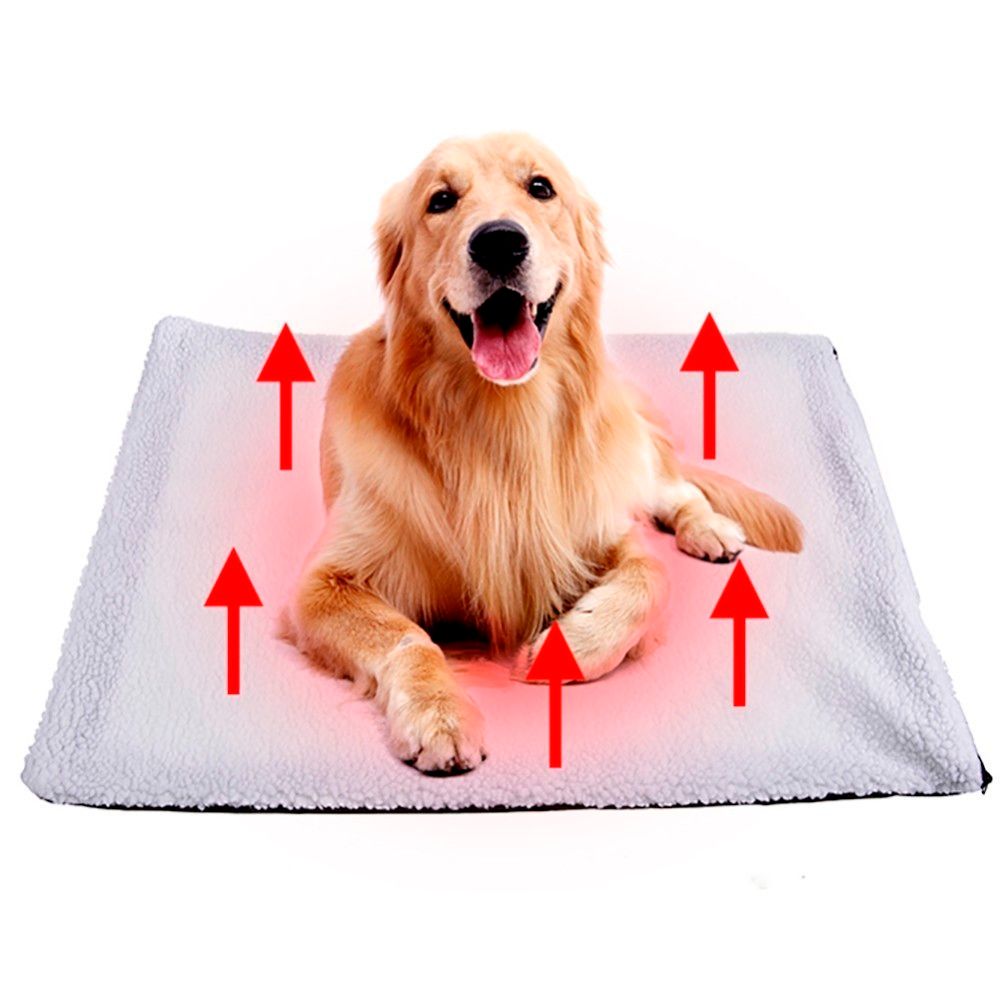 self heating dog blanket