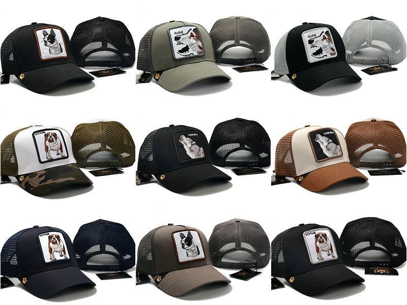 Acquistare Goorin Bros Serie Animali Regolazione Del Cane Del Lupo Di  Baseball Lingua Danatra Protezione Netto Sun Hat Cap Economico | Consegna  Veloce E Qualità | It.Dhgate