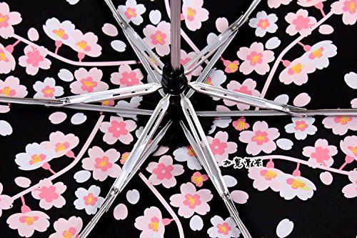 Rainproof 10 Ribs Automatic Opening and Closing Cherry Blossom Tree Sun Scenery Backside Spring Days Windproof Men Ladies 42 Inches RLDSESS Cherry Blossom Travel Folding Umbrella