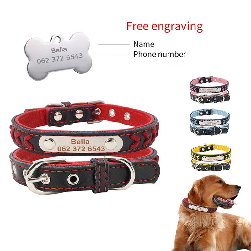 dog accessories collars