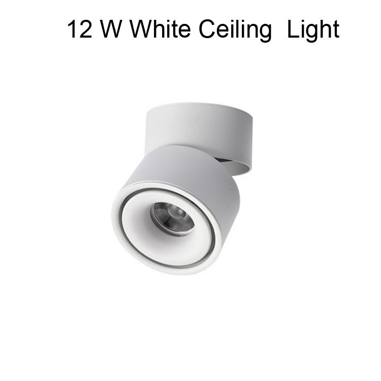 12 W a luce bianca a soffitto