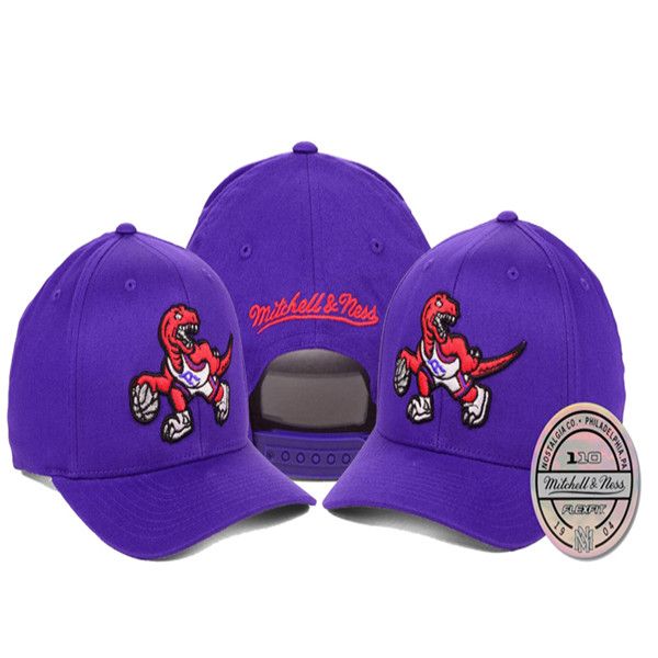 womens raptors hat