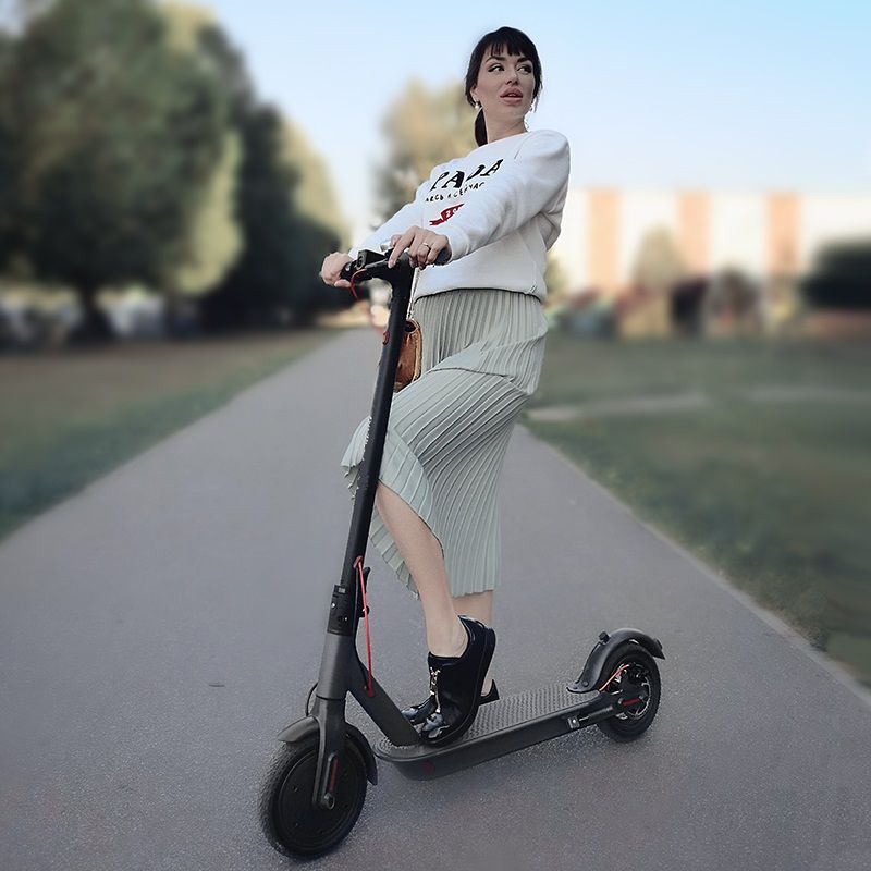 two wheel scooters for adults