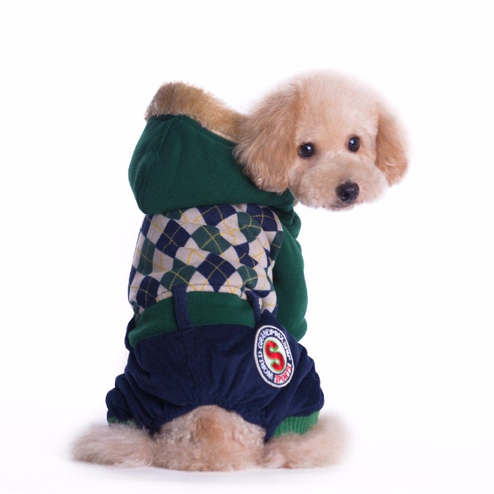 best winter coat for small dogs