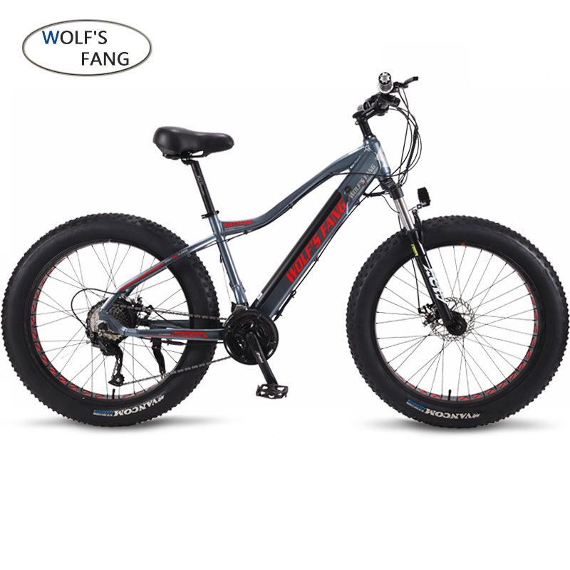 electric bike for cheap