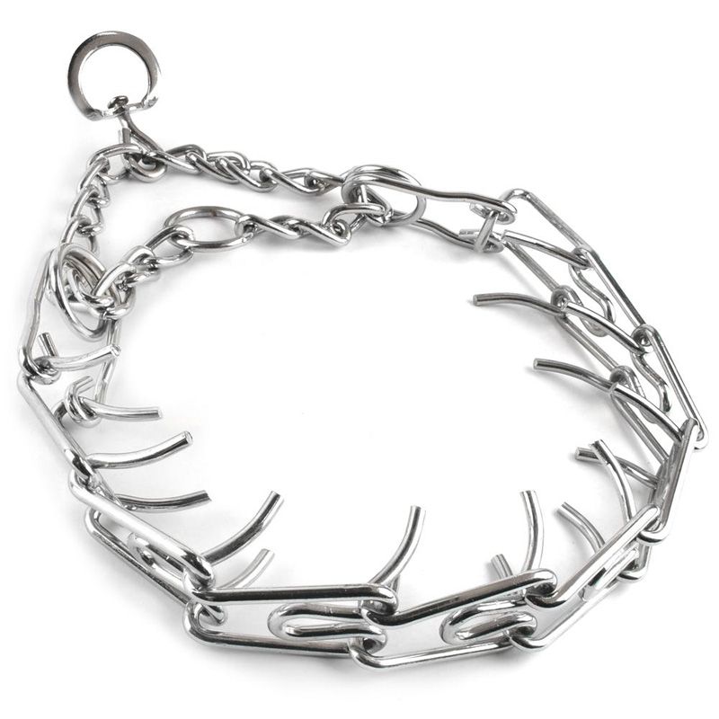 steel dog collar
