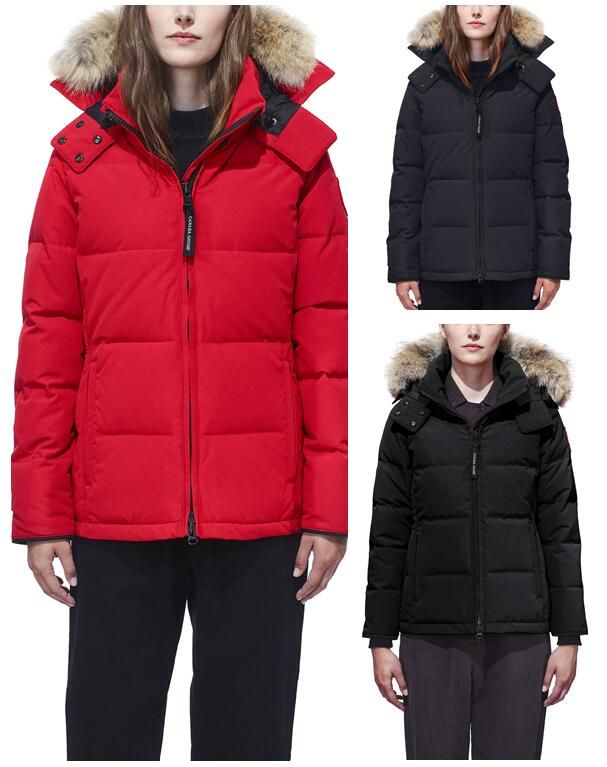 canada goose jacket dhgate