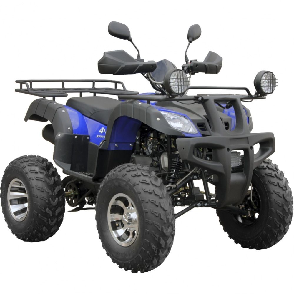 adult off road buggy