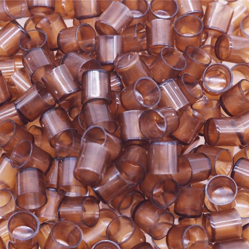 2020 Beekeeping Queen Cell Brown Bee Feeding Tools ...