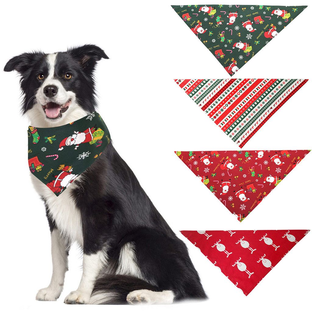 dog neckerchief pets at home