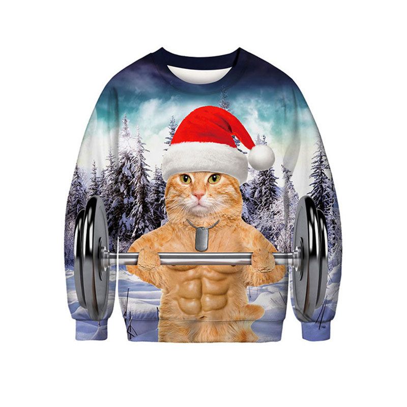 funny cat sweaters
