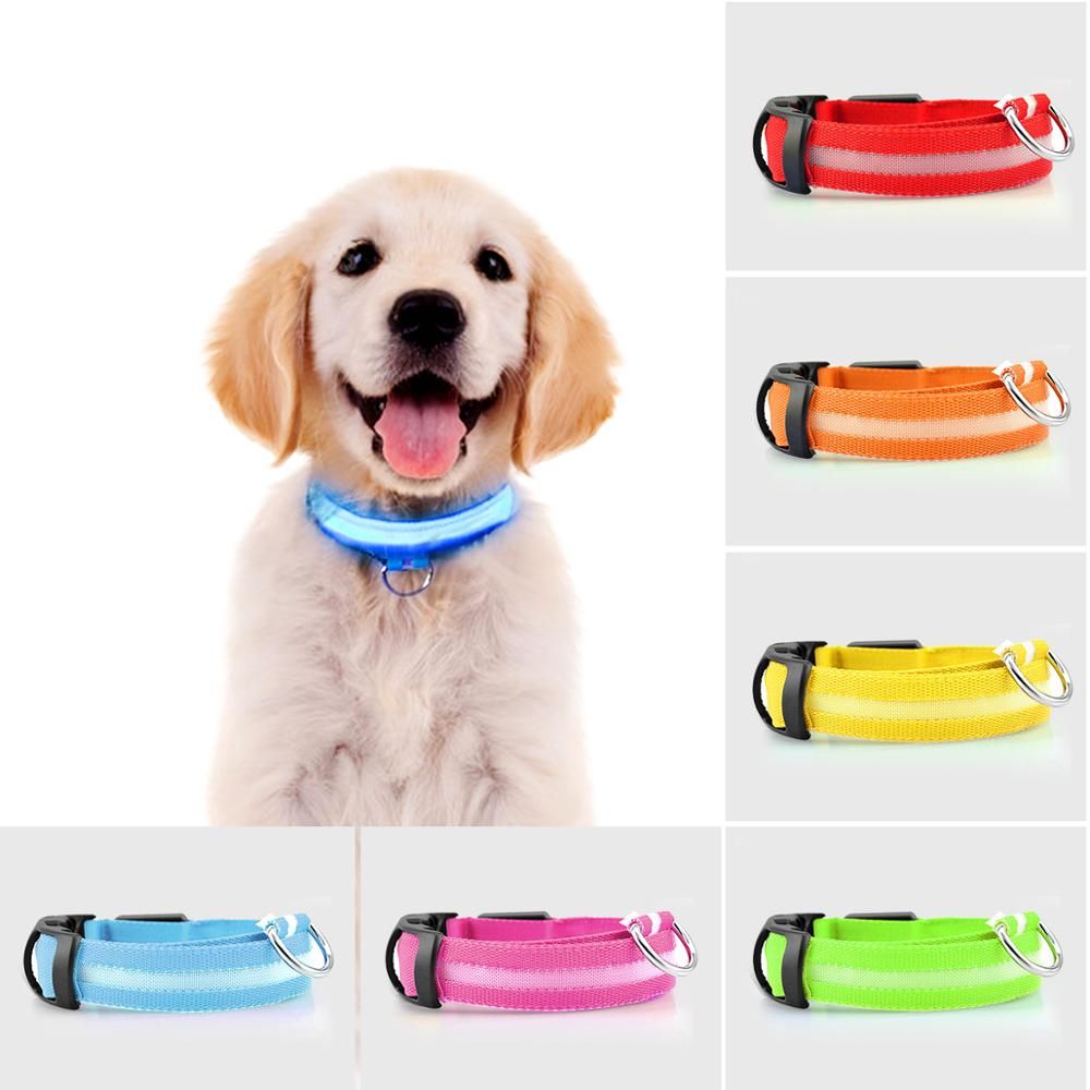 dog collar supplies