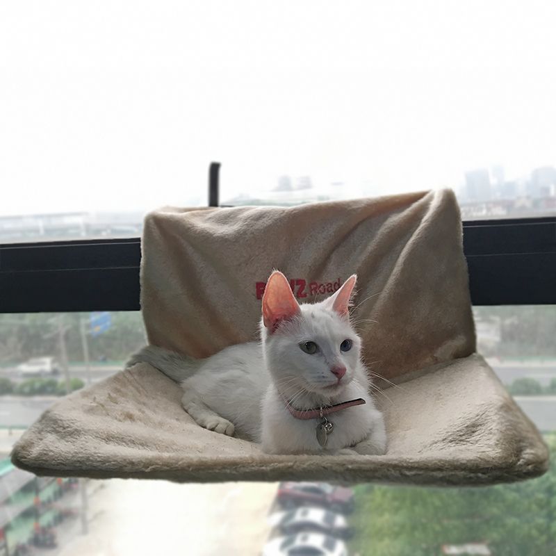 Kedi Yatak Cikarilabilir Pencere Pervazina Kedi Radyator Yatagi Hamak Levrek Koltuk Salonu Pet Kitty Asili Yatak Rahat Kedi Hamak Dagi Pet Koltuk I Toplu Satin Al Dhgate Com