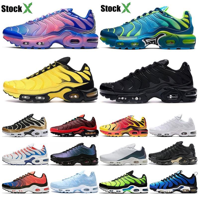 noble training shoes