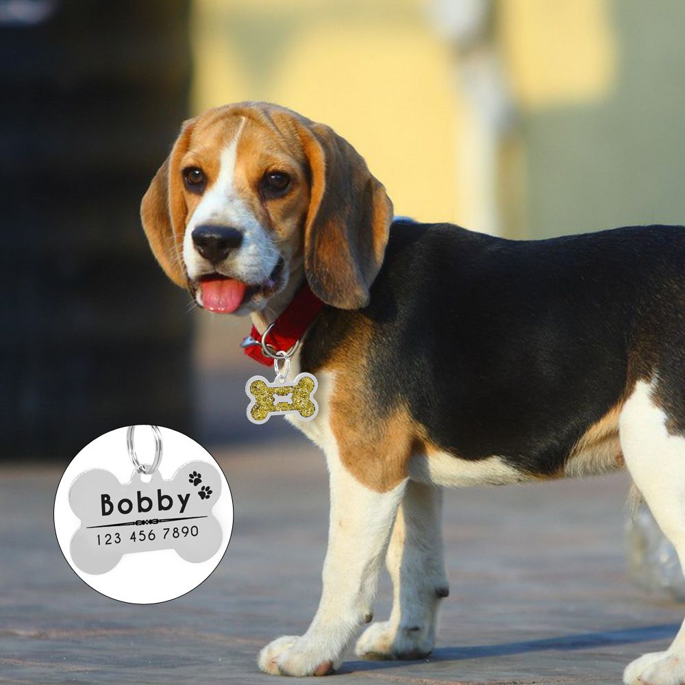 Satin Al Glitter Kisisellestirilmis Kopek Kimlik Etiketi Ozellestirilmis Kemik Sekil Adi Etiketi Plaka Pet Kopek Aksesuarlari Yaka Dekorasyon Pembe Kirmizi Tl31 37 Tr Dhgate Com