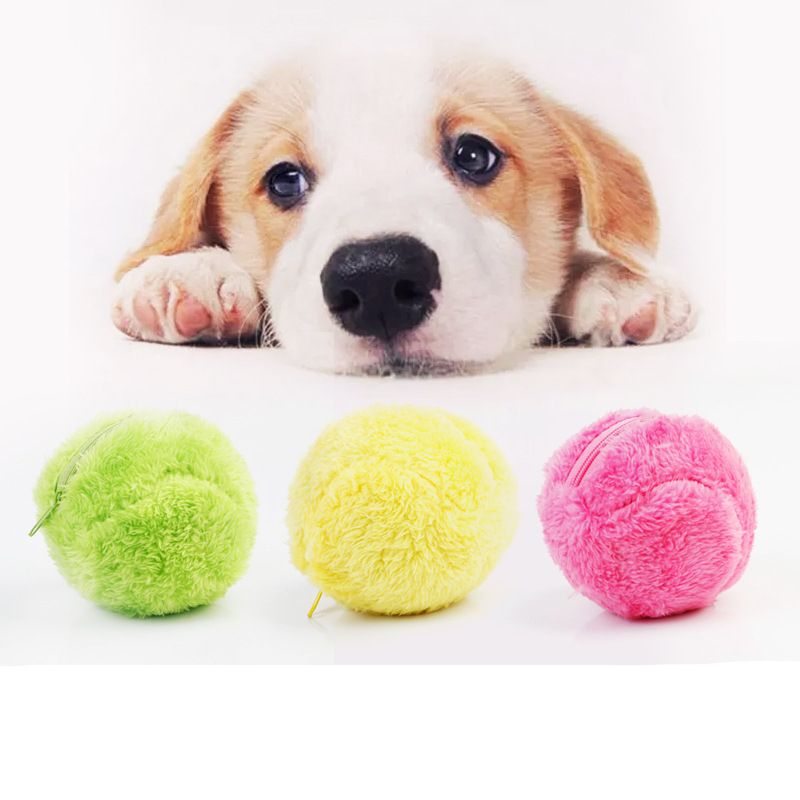 magic ball for dogs