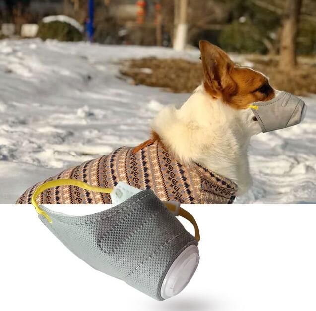 dust dog filter