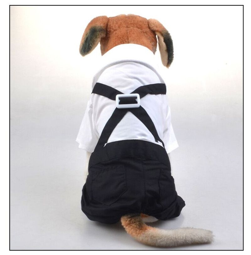 steelers dog moletom com capuz