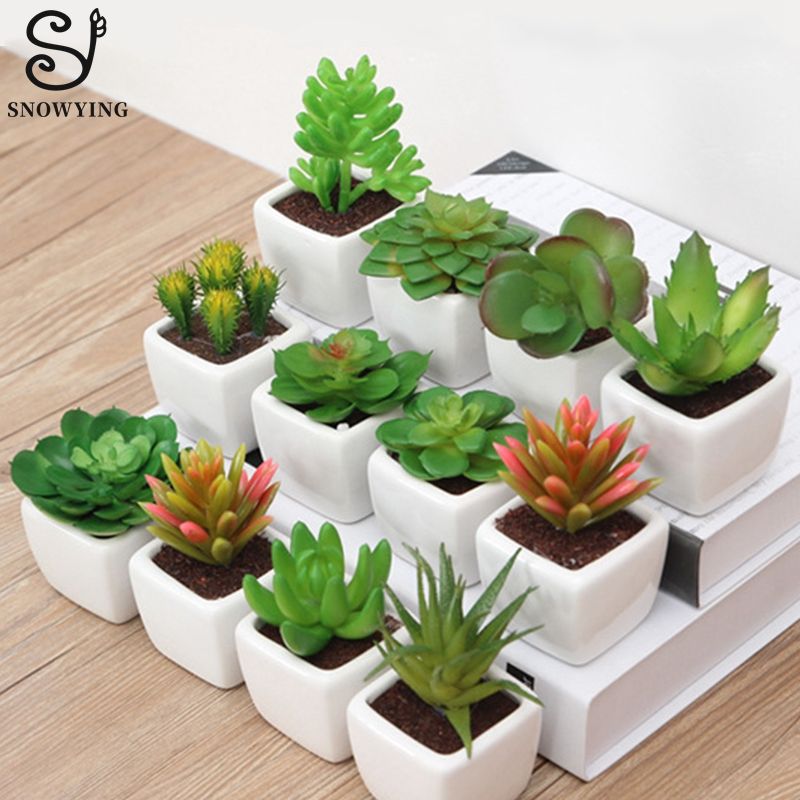 2020 Artificial Succulent Plant Cactus Mini Potted Plants Writing