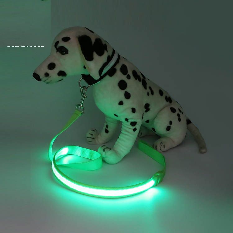 light up dog leash