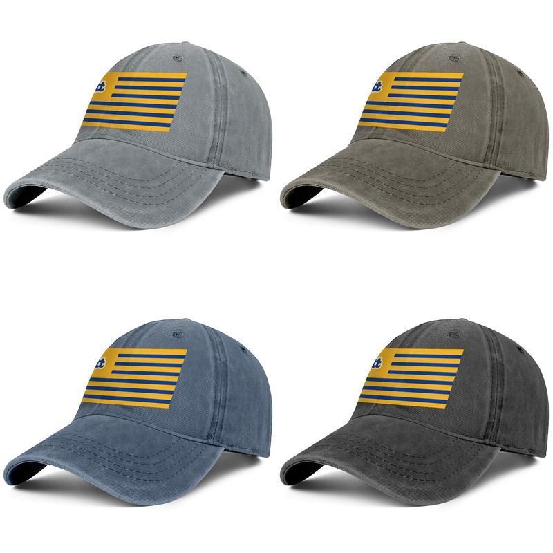 pitt baseball hat