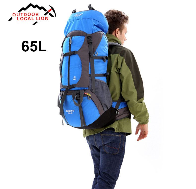 travel backpack 65l