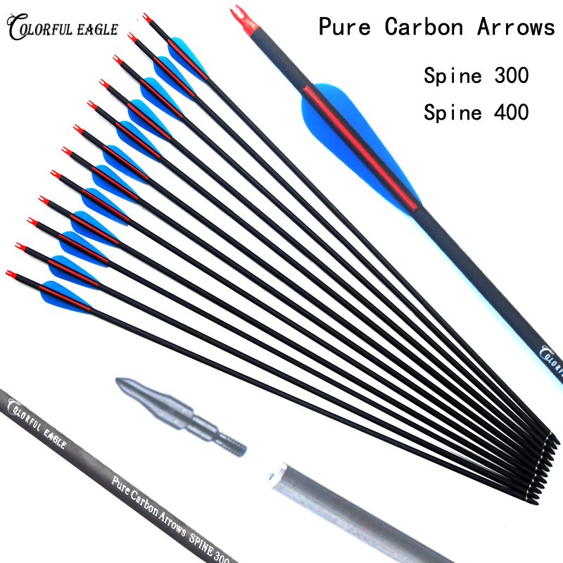 Pure Carbon Arrow 28 30 31 Length Spine 300 400 With Replaceable